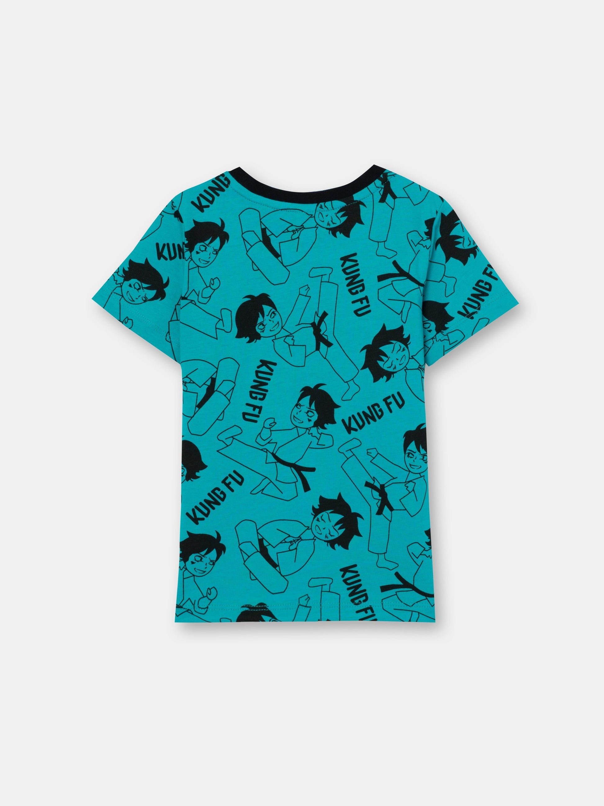 CWKB 62815-40-283 - Cherubino boys emerald t-shirt with kung fu master print - back