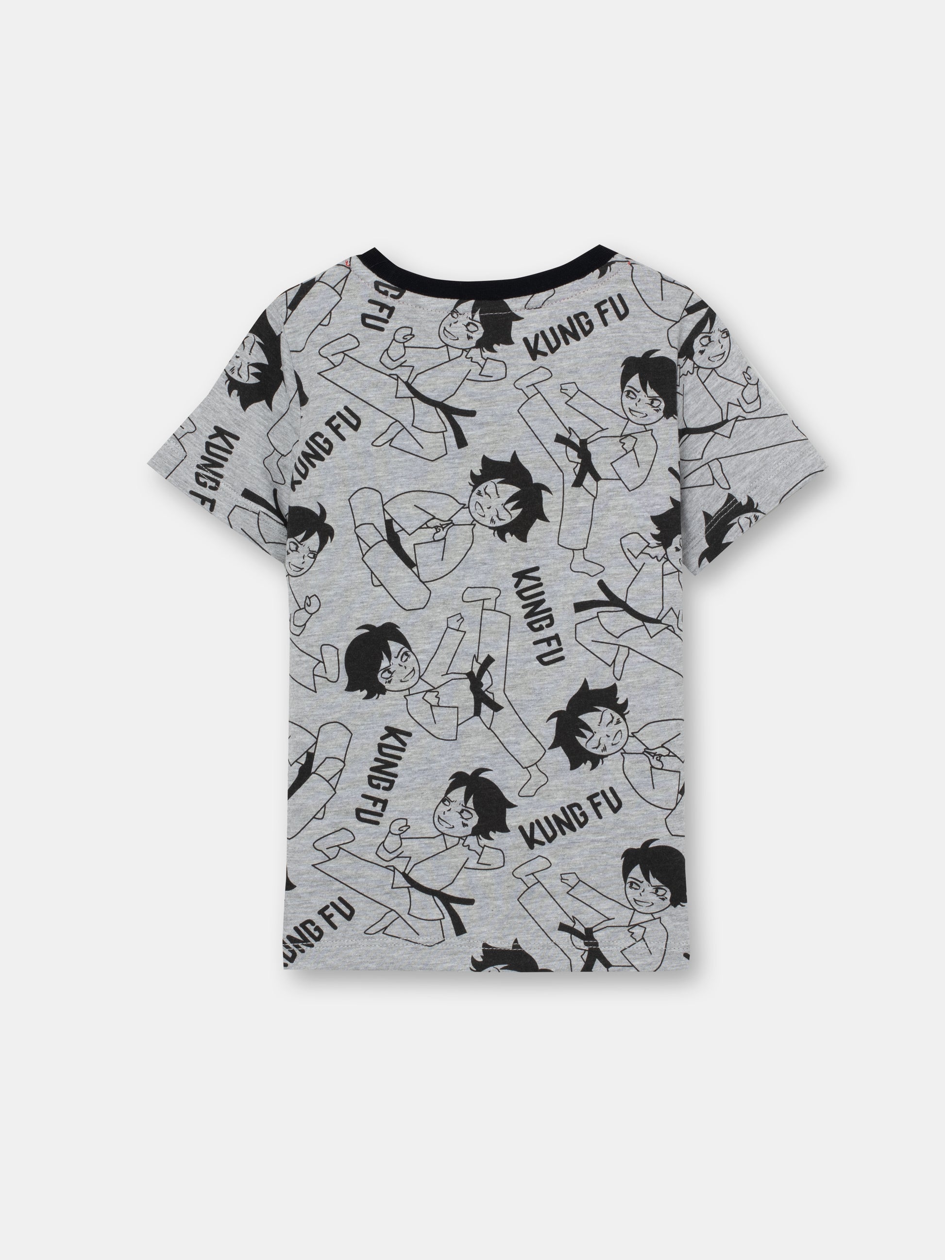 CWKB 62815-11-283 - Cherubino boys grey t-shirt with kung fu master print - back