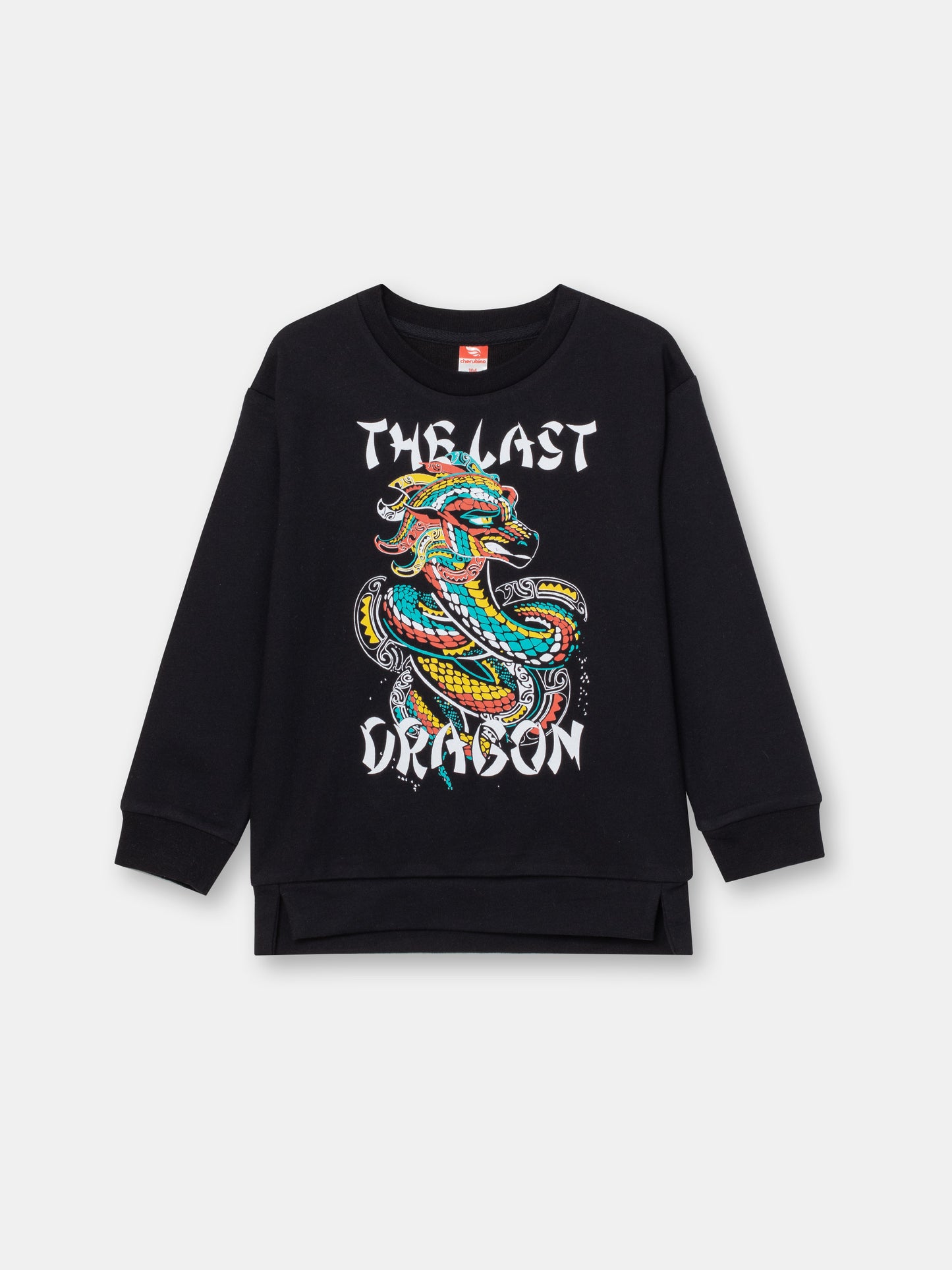 Boys Black Sweatshirt with Last Dragon Print