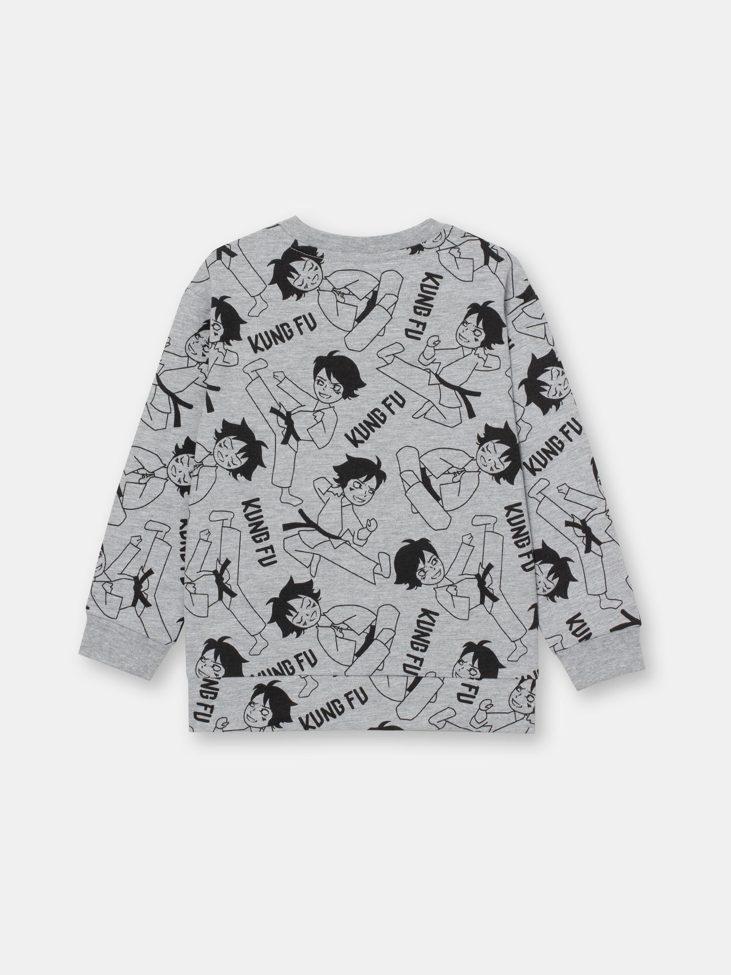 Boys Grey Sweatshirt with Karate Kid Print