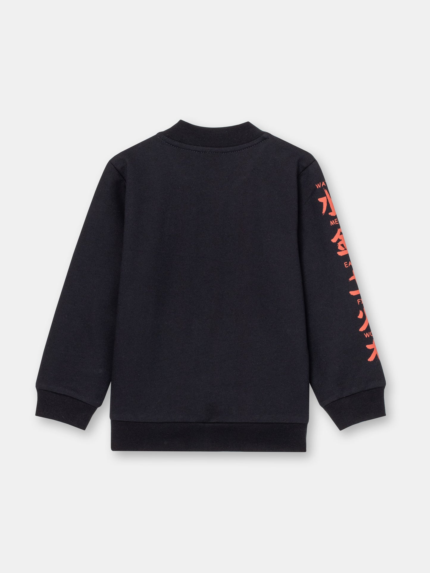 Boys Black Hoodie with Kung Fu Master Print