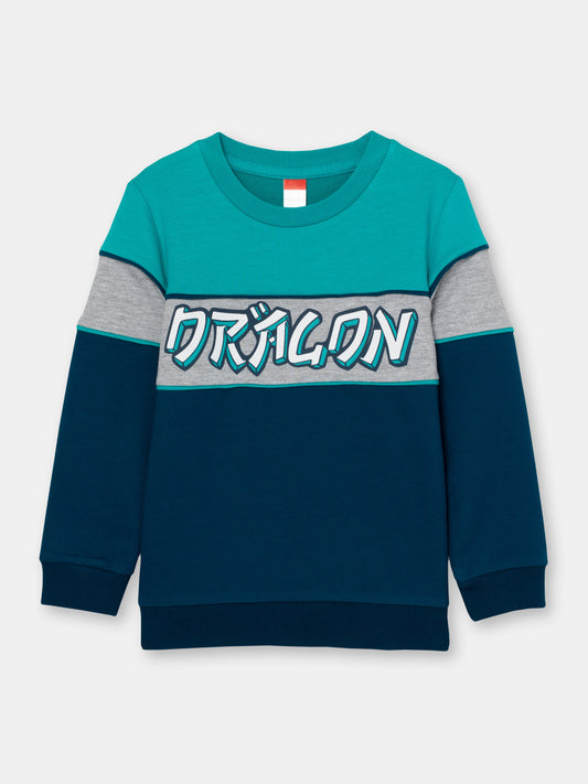 Boys Green Sweatshirt with Dragon Print