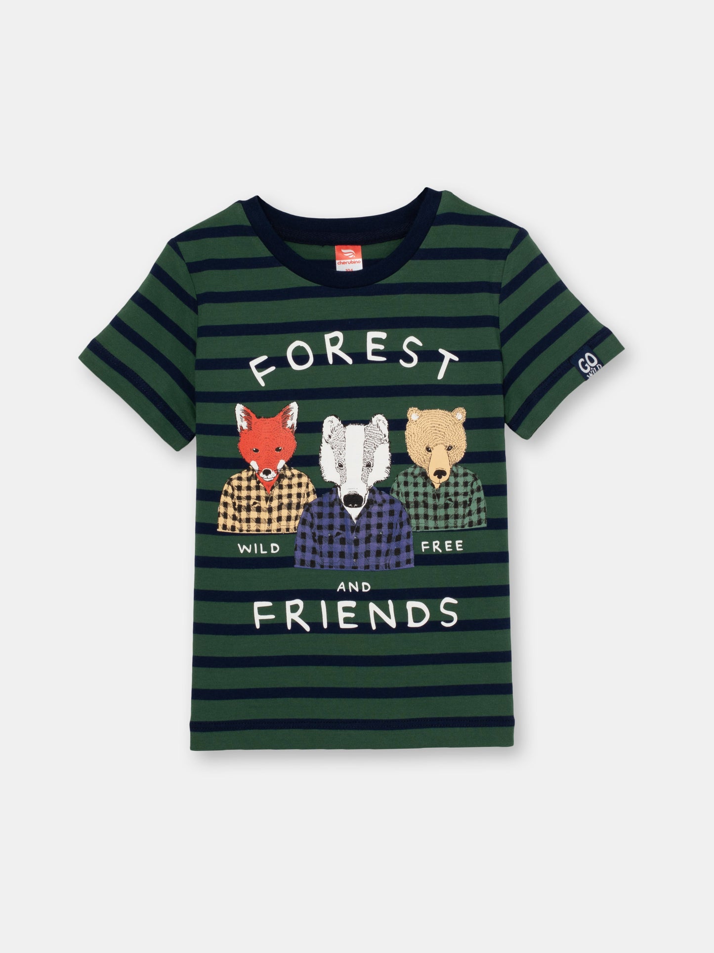 Boys Khaki T-shirt with Forest Friends Print