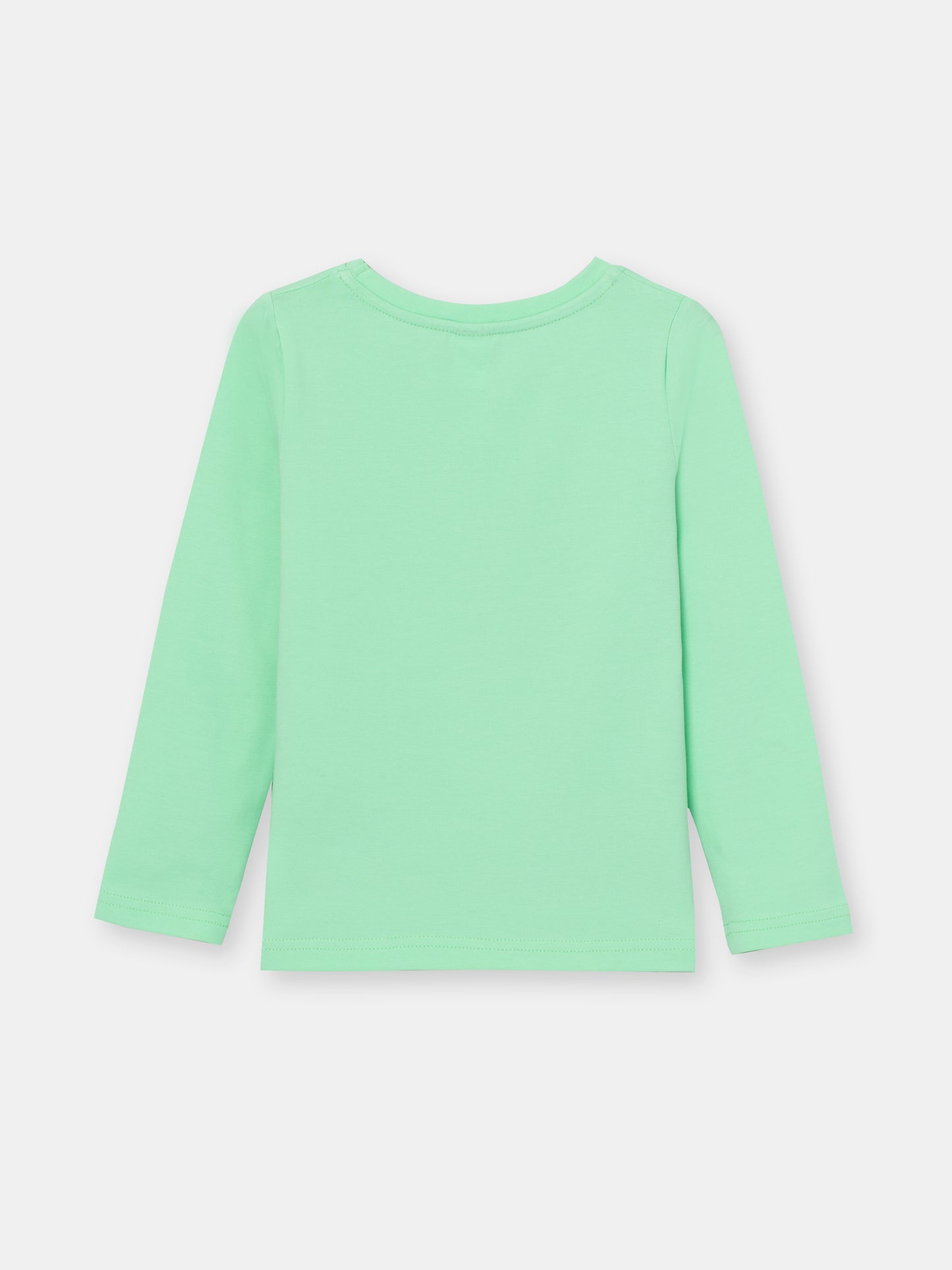 CWKG 62807-38-282 - Cherubino girls mint long sleeve t-shirt with little friends print - back