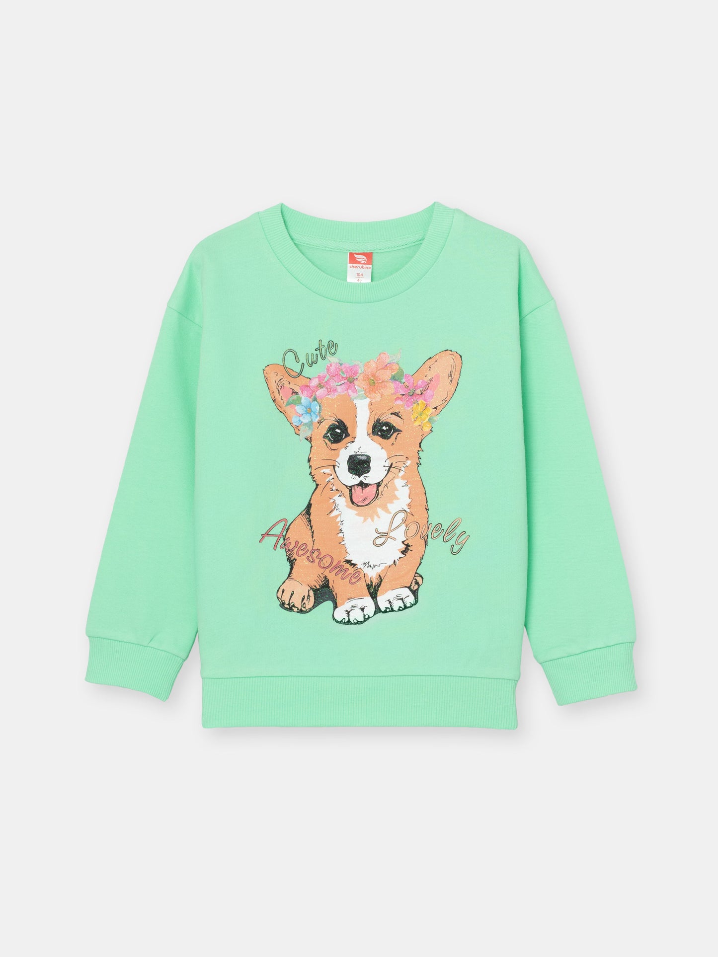 Girls Green Sweatshirt with Cute Corgi Puppy Print